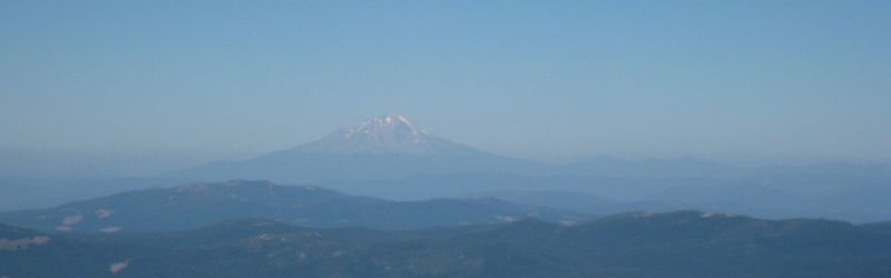 shasta