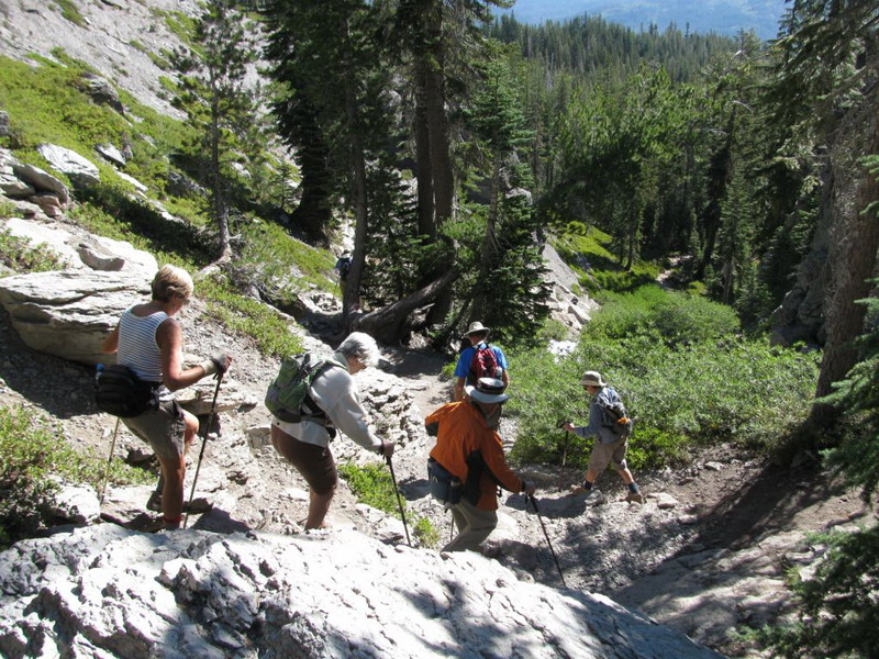 hikers