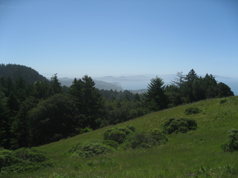 View towards San Francisco penninsula