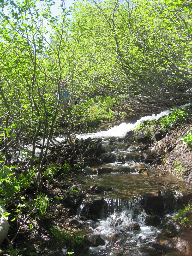 stream crossing