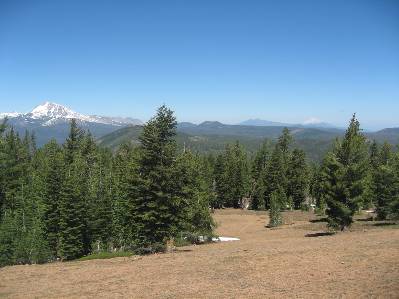 Lassen and Shasta