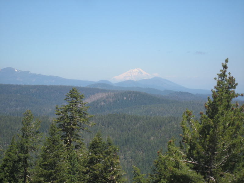 Mt. Shasta