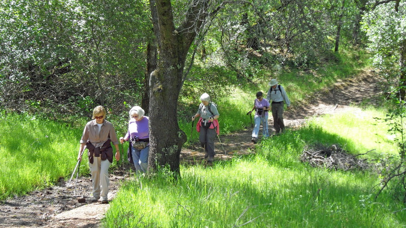 Hikers on trail