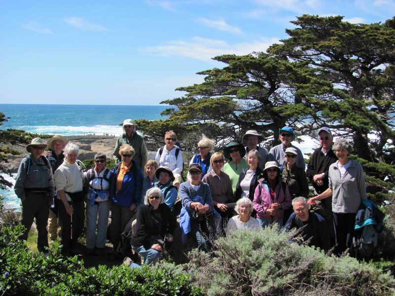 The group at Pt. Lobos