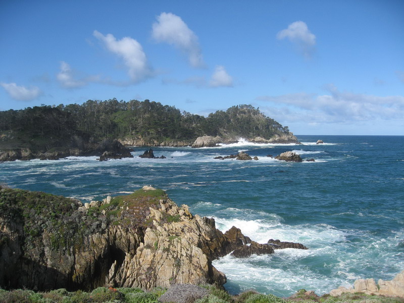 pt lobos