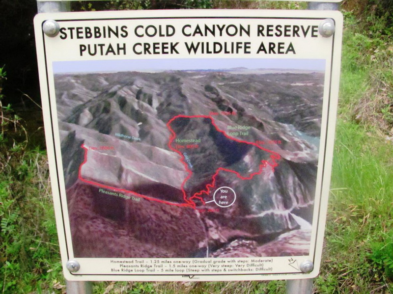 trail sign