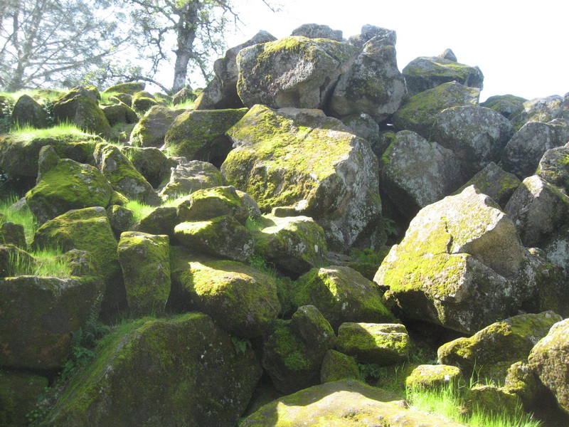mossy granite