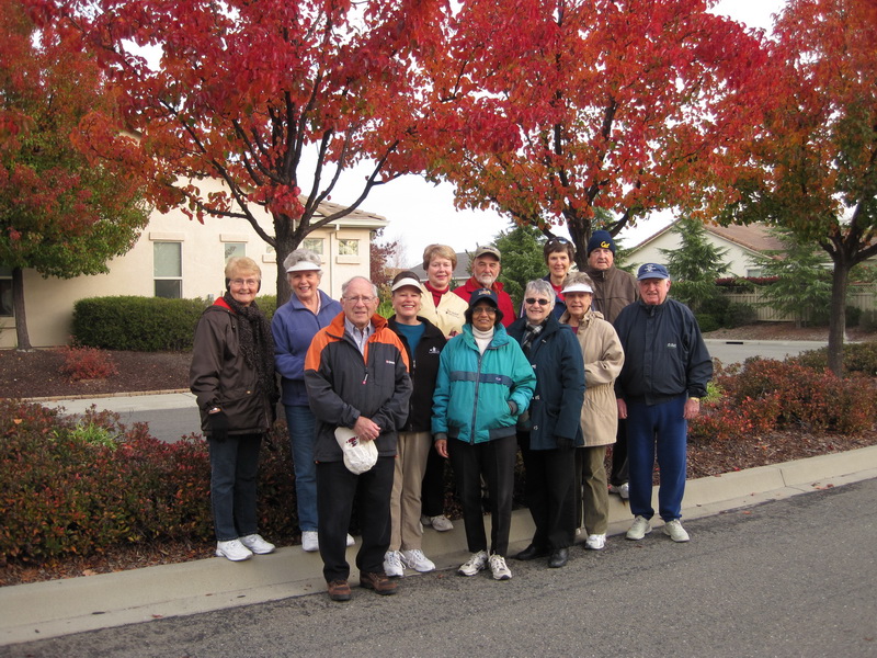 A Fall Walk