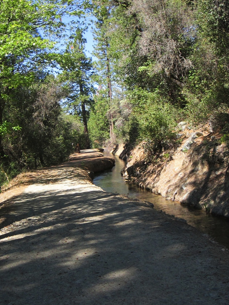 Newtown Canal