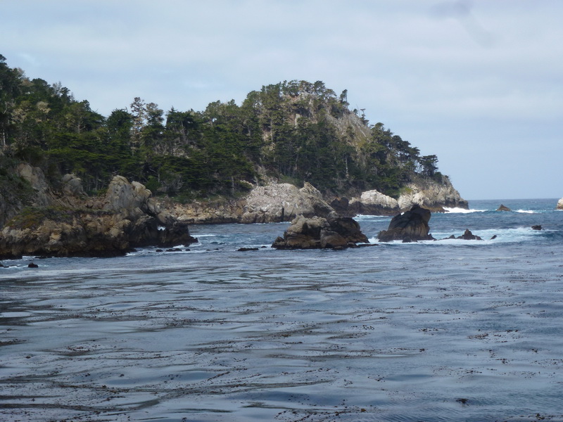 Pt Lobos