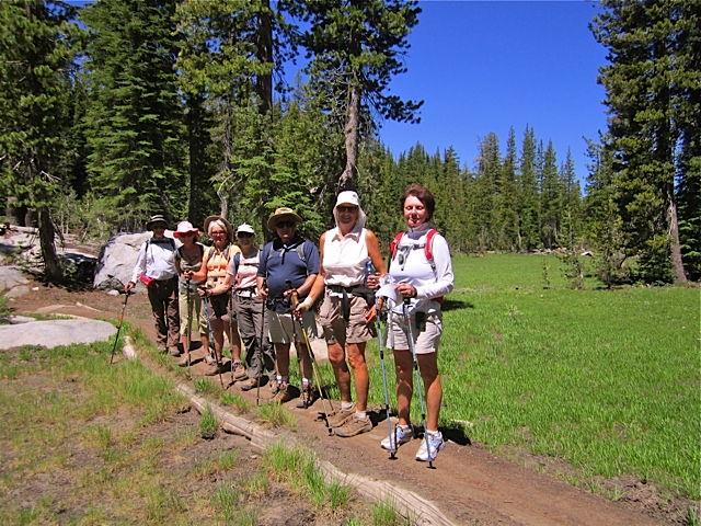 group at meadow