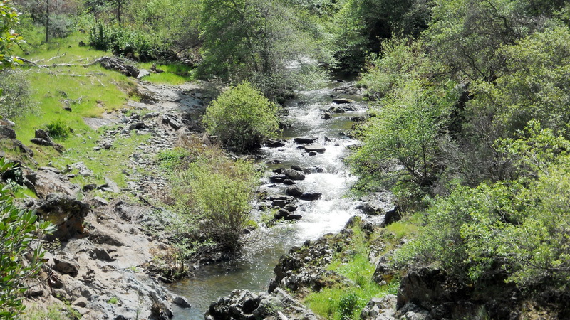 coon creek