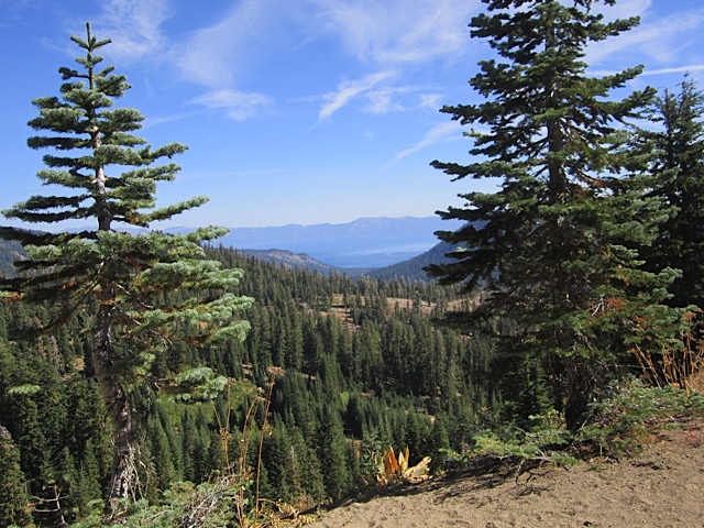 Lake Tahoe vista