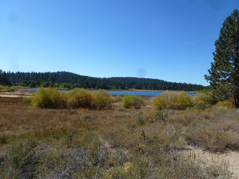 view of lake