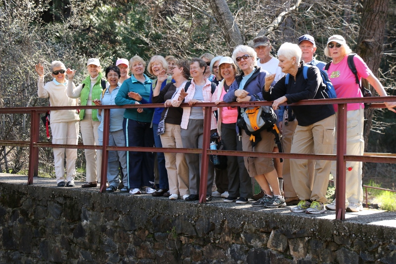 group on bridge