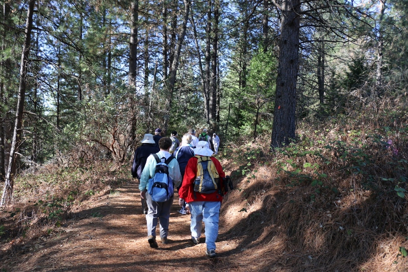 on the trail