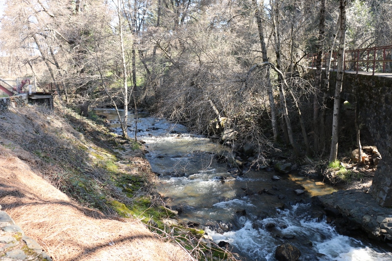 lunch site