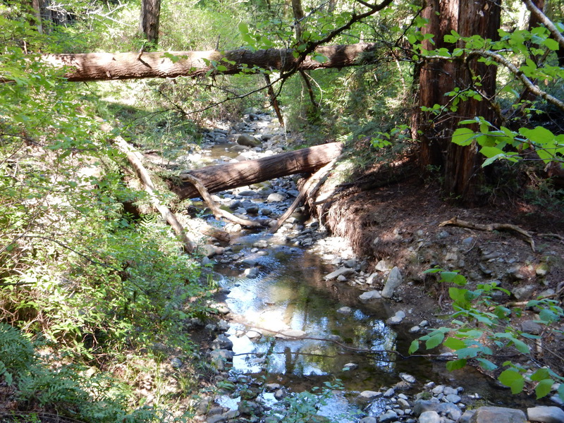 Ritchey Creek