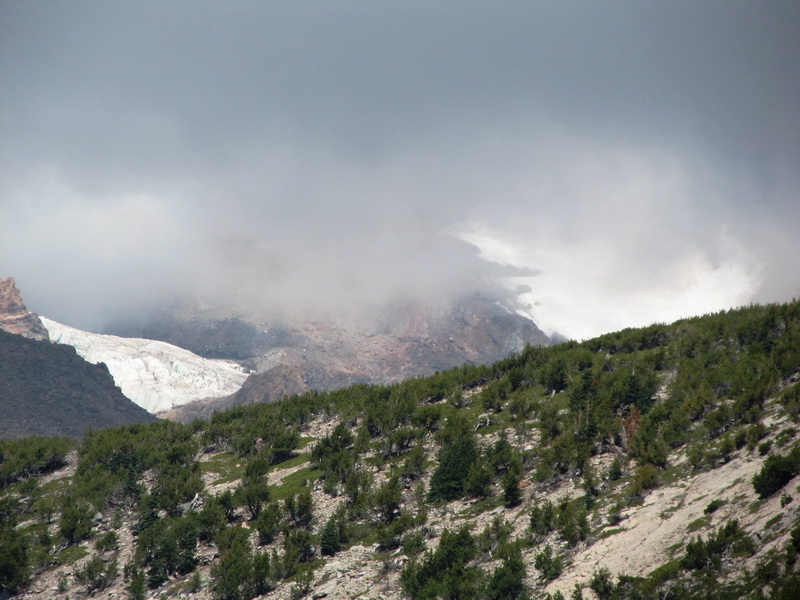 SAhasta snow