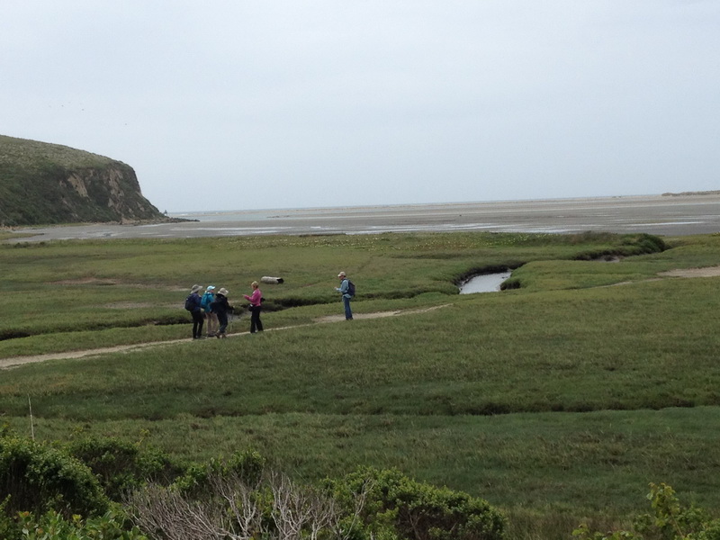 toward the beachg