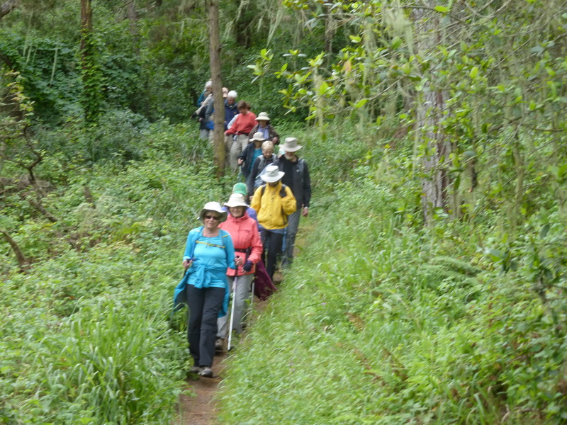 on trail