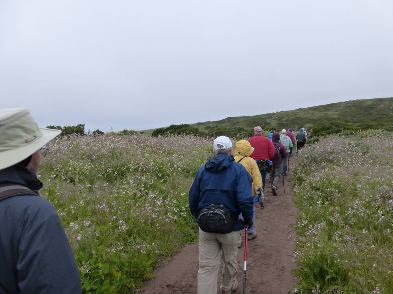 on the trail