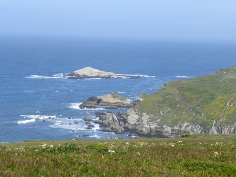 coastal rocks