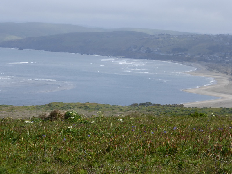 Tomales Bay