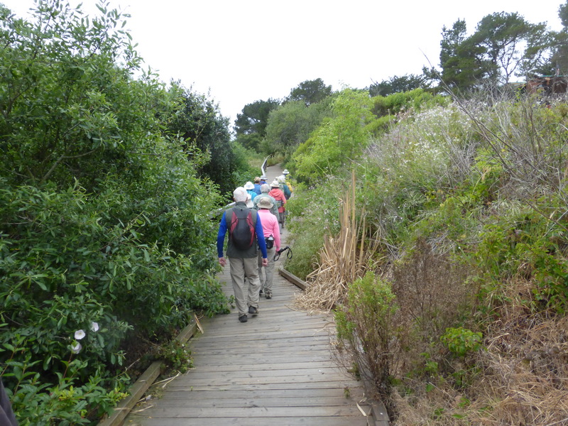 boardwalk