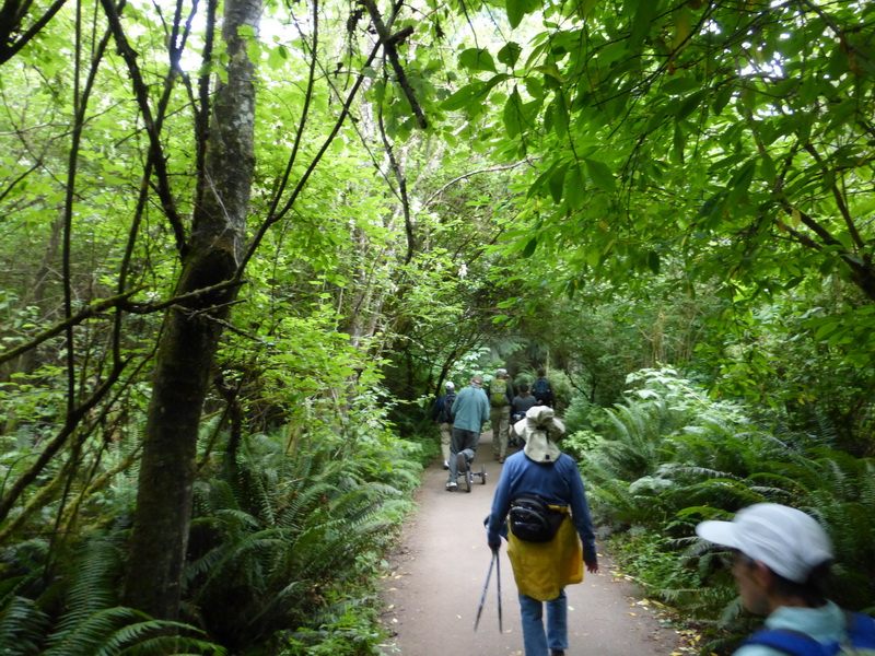 on the trail