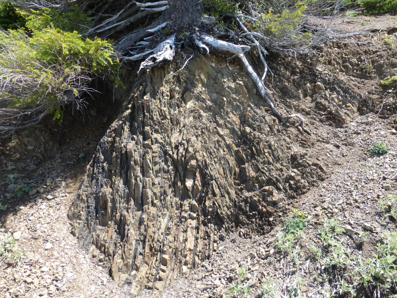 folded rock