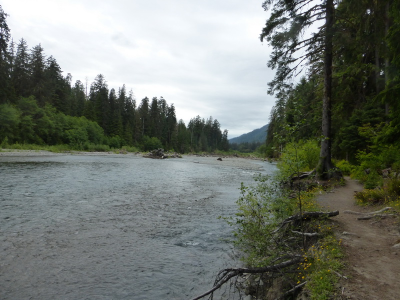 Hoh River