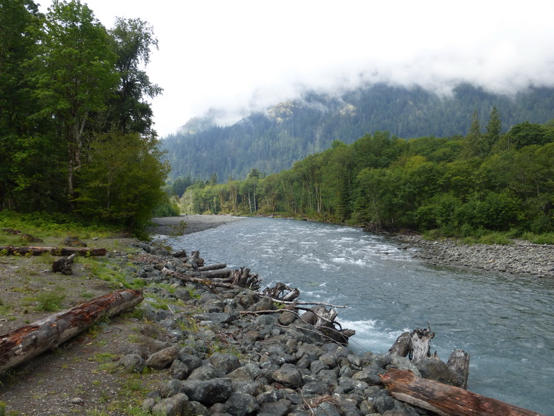 Elwha