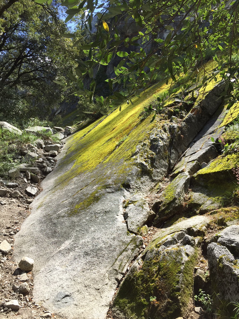 Vernal Falld Hike to Nevada Falls